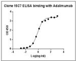 Adalimumab Antibody in ELISA (ELISA)