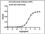 Ipilimumab Antibody in ELISA (ELISA)