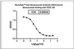 Bevacizumab Antibody in ELISA (ELISA)