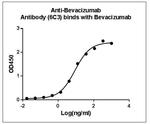 Bevacizumab Antibody in ELISA (ELISA)