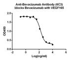 Bevacizumab Antibody in ELISA (ELISA)