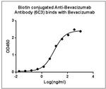 Bevacizumab Antibody in ELISA (ELISA)