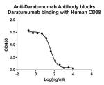 Daratumumab Antibody in ELISA (ELISA)