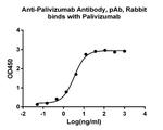 Palivizumab Antibody in ELISA (ELISA)