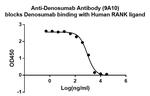 Denosumab Antibody in ELISA (ELISA)