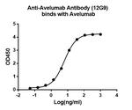 Avelumab Antibody in ELISA (ELISA)