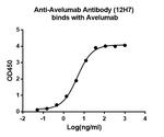 Avelumab Antibody in ELISA (ELISA)