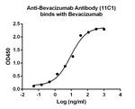 Bevacizumab Antibody in ELISA (ELISA)