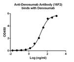 Denosumab Antibody in ELISA (ELISA)