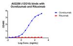 Ocrelizumab Antibody in ELISA (ELISA)