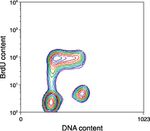 Mouse IgG (H+L) Cross-Adsorbed Secondary Antibody in Flow Cytometry (Flow)