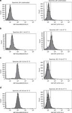 Alexa Fluor 488 Antibody in Flow Cytometry (Flow)