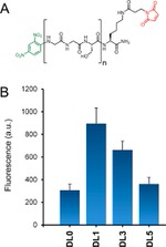 Dinitrophenyl-KLH Antibody in Flow Cytometry (Flow)