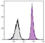 CD45.2 Antibody in Flow Cytometry (Flow)