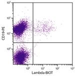 Mouse Lambda Light Chain Secondary Antibody in Flow Cytometry (Flow)