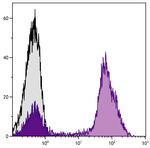 CD11b Antibody in Flow Cytometry (Flow)