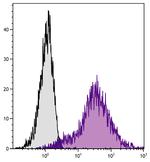 ICAM-1 Antibody in Flow Cytometry (Flow)