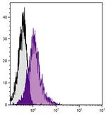 ICAM-1 Antibody in Flow Cytometry (Flow)