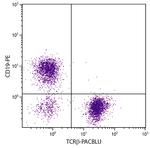 TCR beta Antibody in Flow Cytometry (Flow)