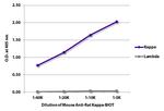 Rat Kappa Light Chain Secondary Antibody in ELISA (ELISA)