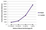 Rat Kappa Light Chain Secondary Antibody in ELISA (ELISA)