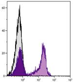 Rat Kappa Light Chain Secondary Antibody in Flow Cytometry (Flow)