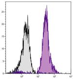 H-2Db Antibody in Flow Cytometry (Flow)