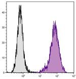 LAMP2 Antibody in Flow Cytometry (Flow)