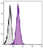 ICAM-2 Antibody in Flow Cytometry (Flow)