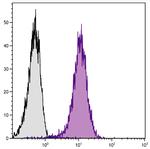 ICAM-2 Antibody in Flow Cytometry (Flow)