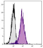 ICAM-2 Antibody in Flow Cytometry (Flow)