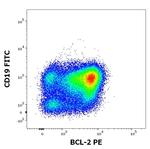 Bcl-2 Antibody in Flow Cytometry (Flow)