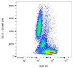 Bcl-2 Antibody in Flow Cytometry (Flow)