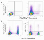 IFN gamma Antibody in Flow Cytometry (Flow)