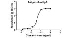 Goat IgG (H+L) Secondary Antibody in ELISA (ELISA)