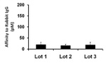 Rabbit IgG (Heavy chain) Secondary Antibody