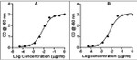 Rabbit IgG (Heavy chain) Secondary Antibody in ELISA (ELISA)