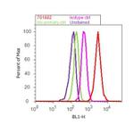 Rabbit IgG (Heavy chain) Secondary Antibody in Flow Cytometry (Flow)