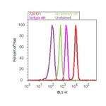 Rabbit IgG (Heavy chain) Secondary Antibody in Flow Cytometry (Flow)