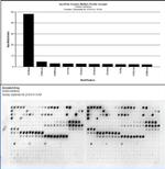 Rabbit IgG (Heavy chain) Secondary Antibody in Peptide array (ARRAY)