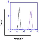 Rabbit IgG (Heavy chain) Secondary Antibody in Flow Cytometry (Flow)