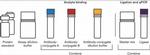 Human CEA ProQuantum Immunoassay Kit