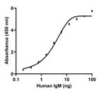 Human IgM (Heavy chain) Secondary Antibody in ELISA (ELISA)