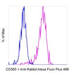 Rabbit IgG (Heavy chain) Secondary Antibody in Flow Cytometry (Flow)