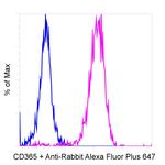 Rabbit IgG (Heavy chain) Secondary Antibody in Flow Cytometry (Flow)