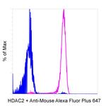 Mouse IgG (H+L) Secondary Antibody in Flow Cytometry (Flow)