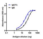 Human IgG Fc Secondary Antibody in ELISA (ELISA)