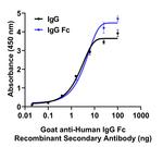 Human IgG Fc Secondary Antibody in ELISA (ELISA)