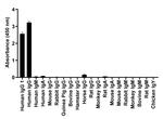 Human IgG1 (Heavy chain) Secondary Antibody