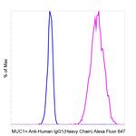 Human IgG1 (Heavy chain) Secondary Antibody in Flow Cytometry (Flow)